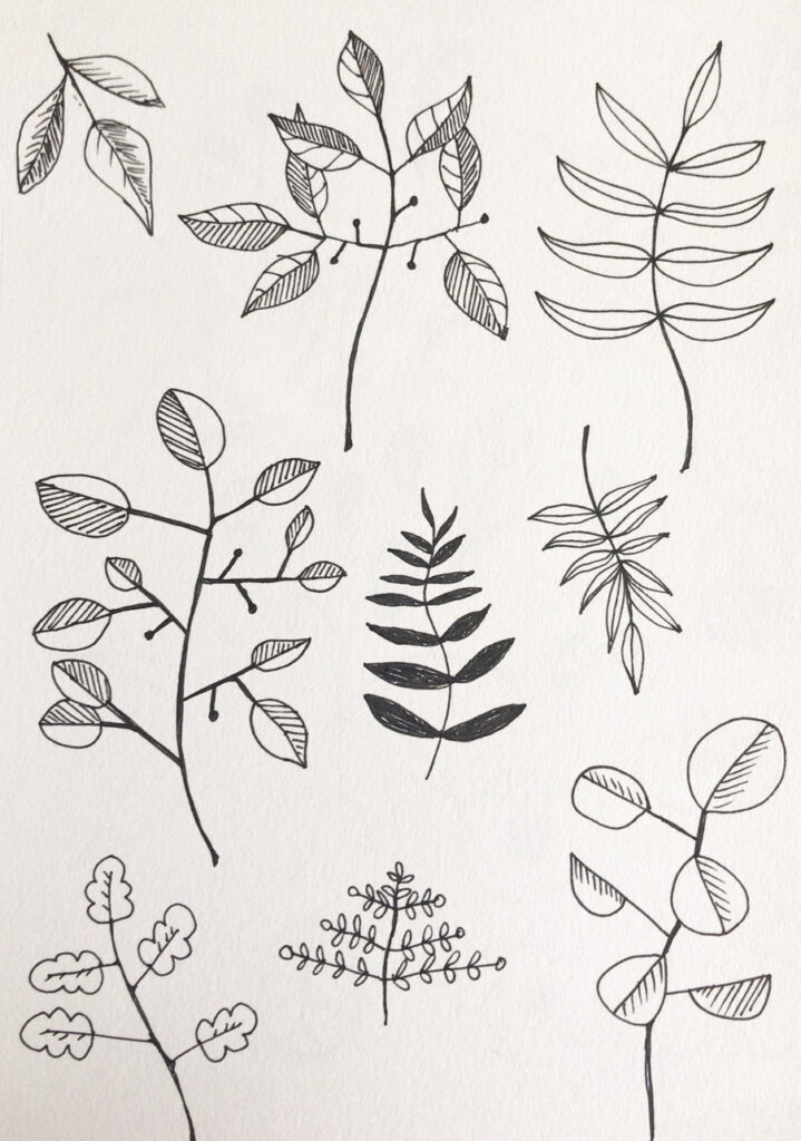 leaf sketches